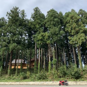 八海醸造 魚沼の里に立ち並ぶ木々にてwith CBR650R