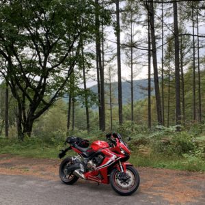 霊峰ラインの山岳エリアにてwith CBR650R②