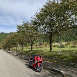 八海醸造 魚沼の里の並木道にてwith CBR650R