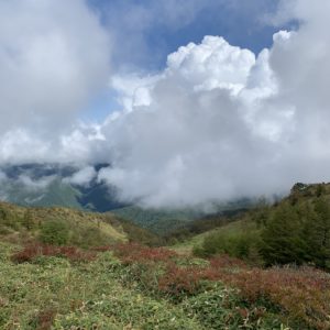 鉢伏山登山道で少し秋らしい風景発見