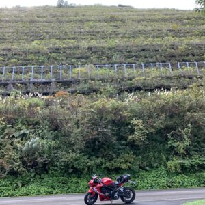 三国川ダムの巨大な緑の擁壁を眺めるwith CBR650R②