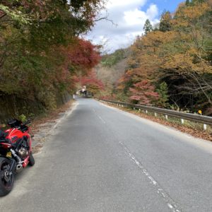 花園渓谷を走る秋色ゴールデンルートr27にてwith CBR650R
