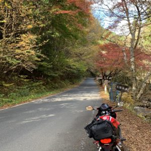 花園渓谷を走る秋色ゴールデンルートr27にてwith CBR650R④