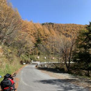 市道上村1号線のしらびそ高原間近の辺りにてwith CBR650R