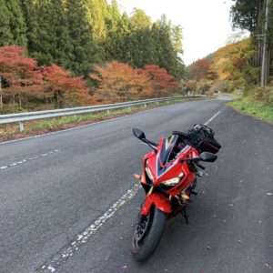 八溝山に続く伸びやかなr28③