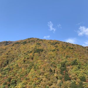 眩しいくらいの紅葉の山々の風景が続くR158