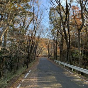 八溝林道の1～1.5車線の両側が落ち葉に埋もれたロード風景②
