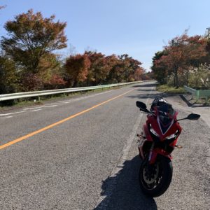 秋色風景が続く茶臼山高原道路にてwith CBR650R
