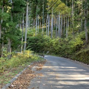 分断国道R152をつなぐ蛇洞林道の風景