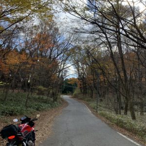 花園渓谷を走る秋色ゴールデンルートr27にてwith CBR650R⑧