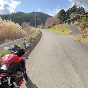 すすきが並び始めたr27にてwith CBR650R