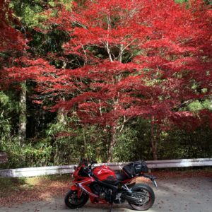 花園神社駐車場にて待望の紅葉と同期！with CBR650R