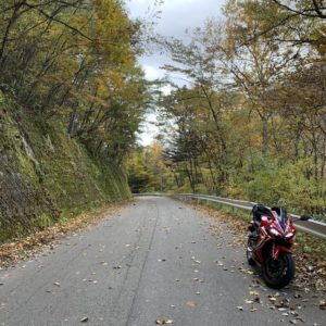 北アルプス大橋直前の秋色風景にてwith CBR650R②