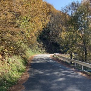 しらびそ高原に向かう市道上村1号線の山岳風景