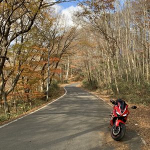 花園渓谷を走る秋色ゴールデンルートr27にてwith CBR650R⑥