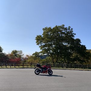 茶臼山高原道路の天狗棚駐車場にて②