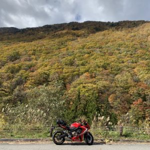 北アルプス大橋直前の秋色風景にてwith CBR650R