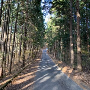 八溝林道の1～1.5車線の両側が落ち葉に埋もれたロード風景