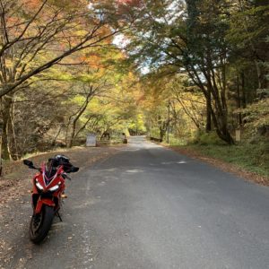 花園渓谷を走る秋色ゴールデンルートr27にてwith CBR650R③