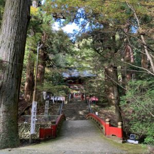 秋の花園神社入口にて
