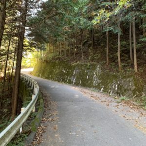 南アルプスエコーラインの下栗の里へ向かう分岐点辺りにて