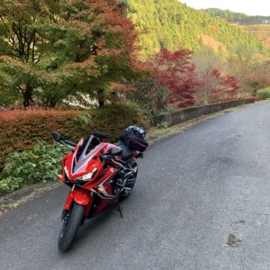 八溝山に続く伸びやかなr28②