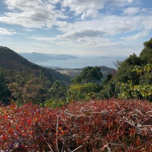 日本寺大仏の横手から見える東京湾の風景