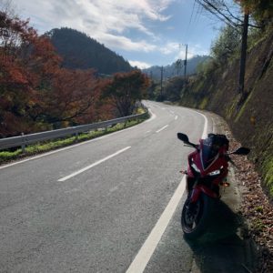 紅葉が織り交ざった12月のもみじロードにてwith CBR650R