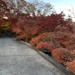 奥久慈・永源寺境内の風情ある紅葉の風景⑤