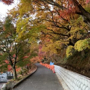 奥久慈・永源寺境内の風情ある紅葉の風景②