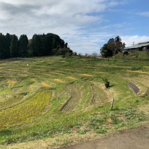美しい棚田が広がる大山千枚田にて
