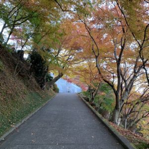 奥久慈・永源寺境内の風情ある紅葉の風景③