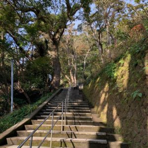 日本寺大仏手前の石段