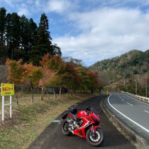 もみじロードの紅葉移ろい風景にてwith CBR650R