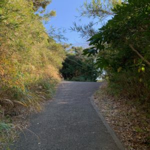 常楽山・萬徳寺に向かう坂