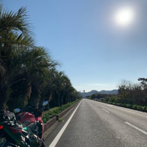 南房総・房総フラワーラインのトロピカルなロード風景にてwith CBR650R②