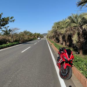 南房総・房総フラワーラインのトロピカルなロード風景にてwith CBR650R