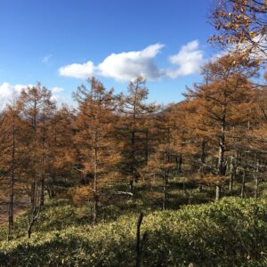 メルヘン街道の風景