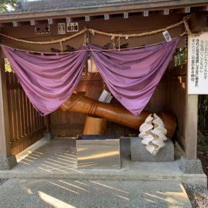 房総半島最南端・野島埼灯台手前の厳島神社にてグロテスクな物体発見