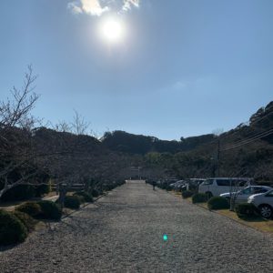 安房国一之宮 安房神社 一之鳥居から続く参道