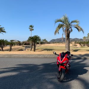 房総フラワーラインのトロピカルな風景にてwith CBR650R