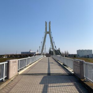 権現堂公園にかかる外野橋