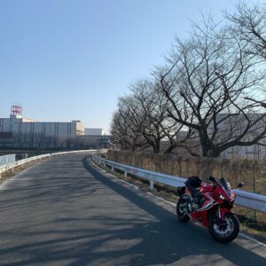 権現堂公園・行幸湖沿いの桜並木with CBR650R