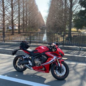 加須はなさき公園のメタセコイア並木にてwith CBR650R②