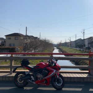 鷲宮駅青毛堀川の河津桜風景with CBR650R②
