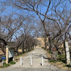 1300年前に建造された「さきたま古墳」公園内①