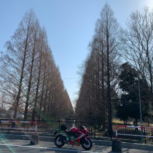 加須はなさき公園のメタセコイア並木にてwith CBR650R