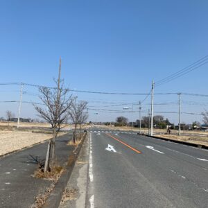 古代蓮の里付近の田園風景