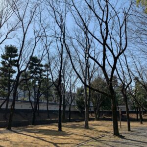 関東七名城「忍城」城内の立派な日本庭園