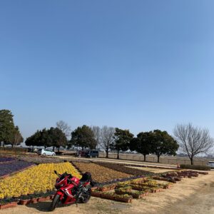 古代蓮の里のタワーと花壇とCBR650R②